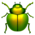 Beetle